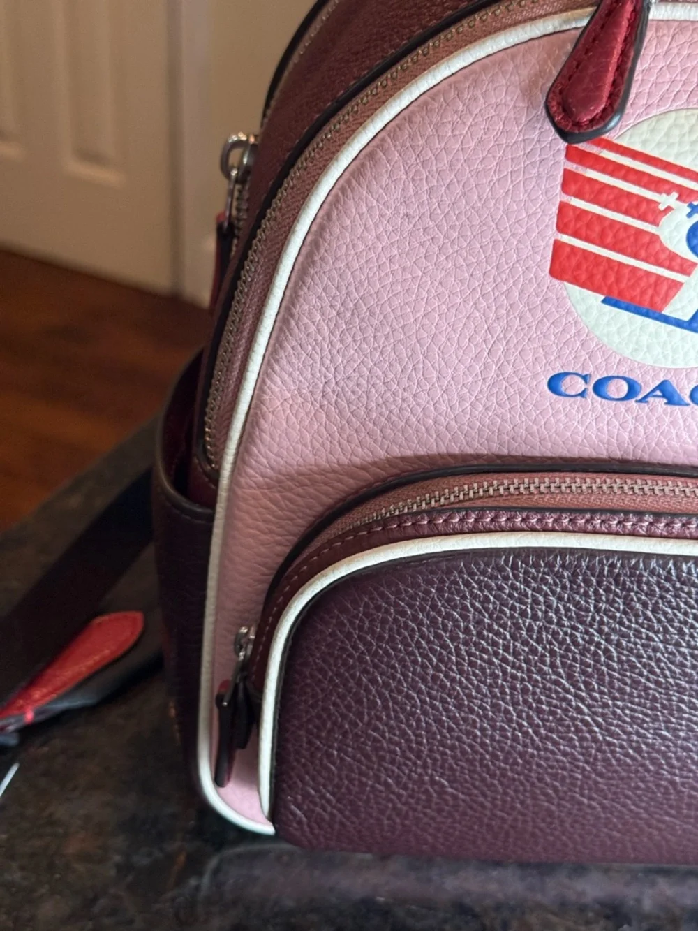 Coach Pink and Burgundy Colorblock Leather Mini Court Backpack Skiing